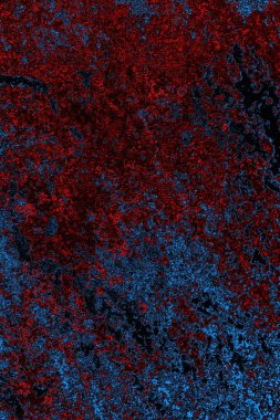 Boşluk duvar kağıdını, grunge arkaplanını, soyut renkli doku arkaplanını kopyala