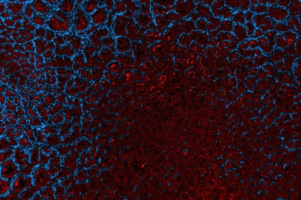 Boşluk duvar kağıdını, grunge arkaplanını, soyut renkli doku arkaplanını kopyala