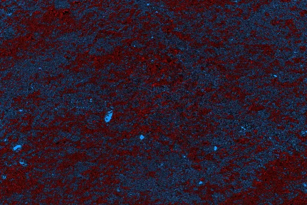 Boşluk duvar kağıdını, grunge arkaplanını, soyut renkli doku arkaplanını kopyala