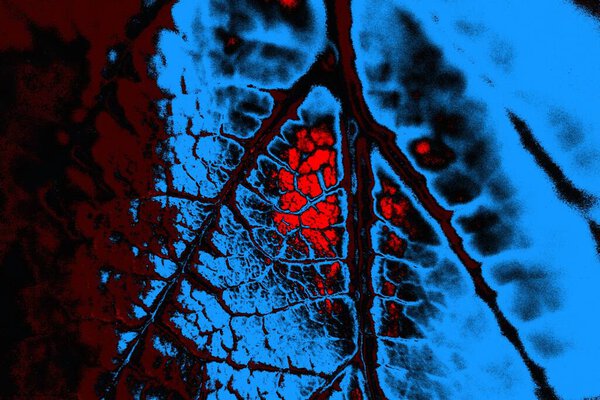 copy space wallpaper, grunge background, abstract colorful texture background