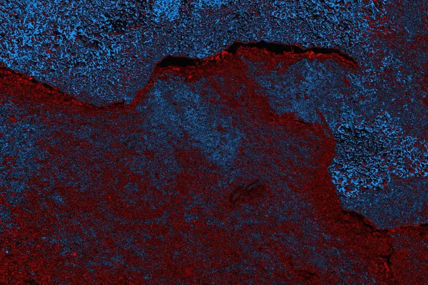 Boşluk duvar kağıdını, grunge arkaplanını, soyut renkli doku arkaplanını kopyala