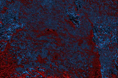 Boşluk duvar kağıdını, grunge arkaplanını, soyut renkli doku arkaplanını kopyala