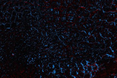 Boşluk duvar kağıdını, grunge arkaplanını, soyut renkli doku arkaplanını kopyala