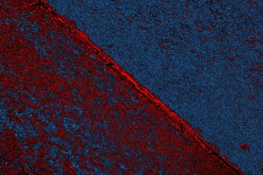 Boşluk duvar kağıdını, grunge arkaplanını, soyut renkli doku arkaplanını kopyala