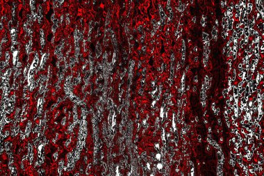 yaratıcı ve tasarım sanatı, kopyalama alanı duvar kağıdı, soyut renkli doku arkaplanı