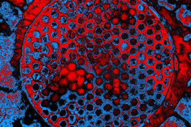  grunge arkaplanı, boşluk duvar kağıdını kopyala, soyut renkli doku arkaplanı