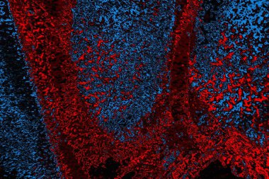Boşluk duvar kağıdını, grunge arkaplanını, soyut renkli doku arkaplanını kopyala