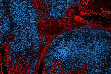 Boşluk duvar kağıdını, grunge arkaplanını, soyut renkli doku arkaplanını kopyala