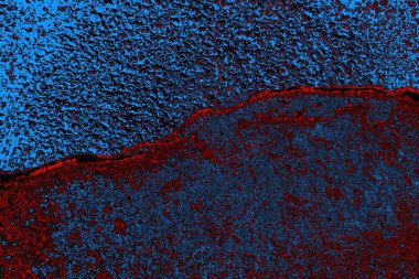 Boşluk duvar kağıdını, grunge arkaplanını, soyut renkli doku arkaplanını kopyala