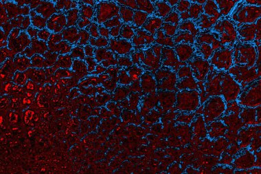 Boşluk duvar kağıdını, grunge arkaplanını, soyut renkli doku arkaplanını kopyala