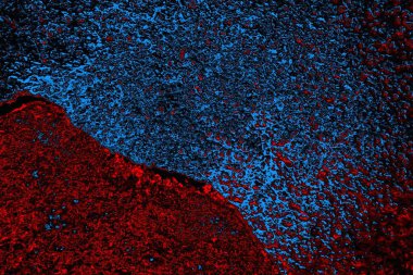 Boşluk duvar kağıdını, grunge arkaplanını, soyut renkli doku arkaplanını kopyala