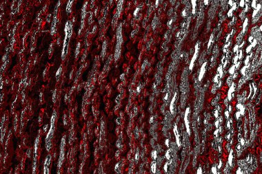 yaratıcı ve tasarım sanatı, kopyalama alanı duvar kağıdı, soyut renkli doku arkaplanı