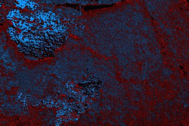 Boşluk duvar kağıdını, grunge arkaplanını, soyut renkli doku arkaplanını kopyala