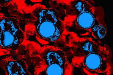 Boşluk duvar kağıdını, grunge arkaplanını, soyut renkli doku arkaplanını kopyala