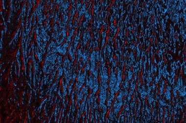 Boşluk duvar kağıdını, grunge arkaplanını, soyut renkli doku arkaplanını kopyala