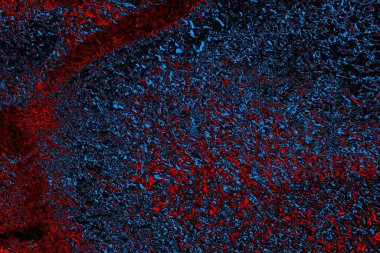 Boşluk duvar kağıdını, grunge arkaplanını, soyut renkli doku arkaplanını kopyala