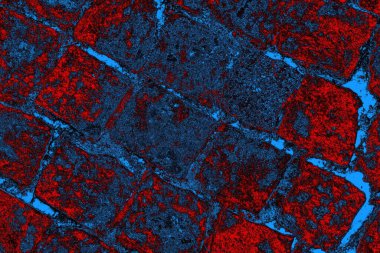 Boşluk duvar kağıdını, grunge arkaplanını, soyut renkli doku arkaplanını kopyala