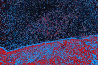  grunge arkaplanı, boşluk duvar kağıdını kopyala, soyut renkli doku arkaplanı