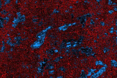 Boşluk duvar kağıdını, grunge arkaplanını, soyut renkli doku arkaplanını kopyala