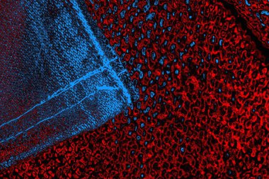 Boşluk duvar kağıdını, grunge arkaplanını, soyut renkli doku arkaplanını kopyala