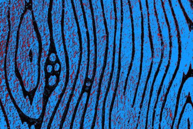  grunge arkaplanı, boşluk duvar kağıdını kopyala, soyut renkli doku arkaplanı