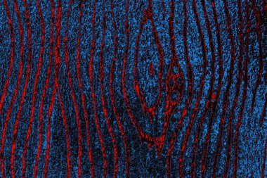 Boşluk duvar kağıdını, grunge arkaplanını, soyut renkli doku arkaplanını kopyala