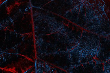 Boşluk duvar kağıdını, grunge arkaplanını, soyut renkli doku arkaplanını kopyala