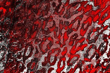 yaratıcı ve tasarım sanatı, kopyalama alanı duvar kağıdı, soyut renkli doku arkaplanı