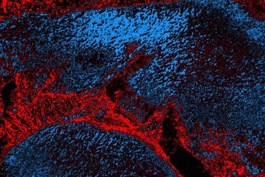 Boşluk duvar kağıdını, grunge arkaplanını, soyut renkli doku arkaplanını kopyala