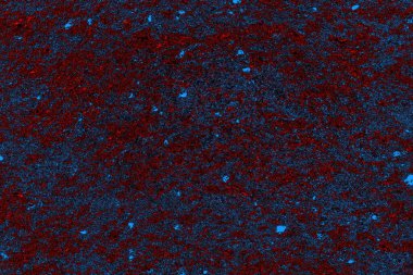 Boşluk duvar kağıdını, grunge arkaplanını, soyut renkli doku arkaplanını kopyala