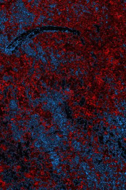 Boşluk duvar kağıdını, grunge arkaplanını, soyut renkli doku arkaplanını kopyala