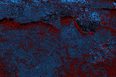 Boşluk duvar kağıdını, grunge arkaplanını, soyut renkli doku arkaplanını kopyala