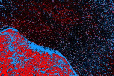  grunge arkaplanı, boşluk duvar kağıdını kopyala, soyut renkli doku arkaplanı