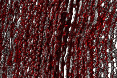 yaratıcı ve tasarım sanatı, kopyalama alanı duvar kağıdı, soyut renkli doku arkaplanı