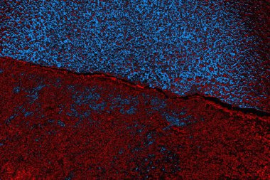 Boşluk duvar kağıdını, grunge arkaplanını, soyut renkli doku arkaplanını kopyala