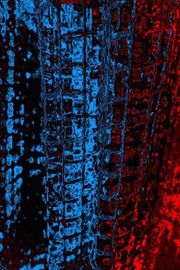 Boşluk duvar kağıdını, grunge arkaplanını, soyut renkli doku arkaplanını kopyala