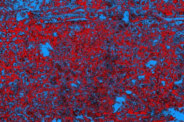  grunge arkaplanı, boşluk duvar kağıdını kopyala, soyut renkli doku arkaplanı