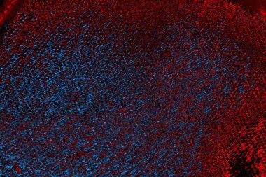 Boşluk duvar kağıdını, grunge arkaplanını, soyut renkli doku arkaplanını kopyala