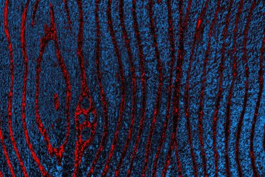 Boşluk duvar kağıdını, grunge arkaplanını, soyut renkli doku arkaplanını kopyala