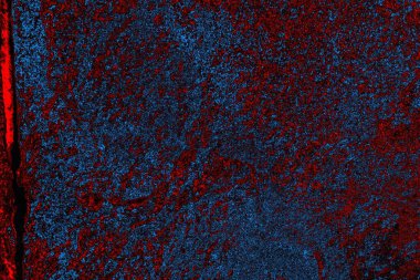 Boşluk duvar kağıdını, grunge arkaplanını, soyut renkli doku arkaplanını kopyala