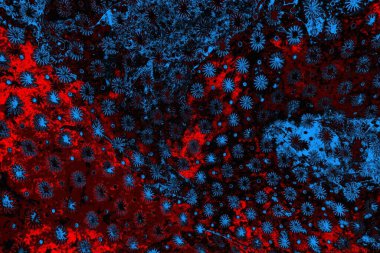 Boşluk duvar kağıdını, grunge arkaplanını, soyut renkli doku arkaplanını kopyala