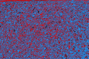  grunge arkaplanı, boşluk duvar kağıdını kopyala, soyut renkli doku arkaplanı