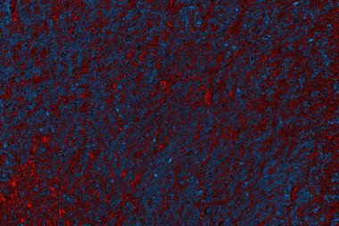 Boşluk duvar kağıdını, grunge arkaplanını, soyut renkli doku arkaplanını kopyala