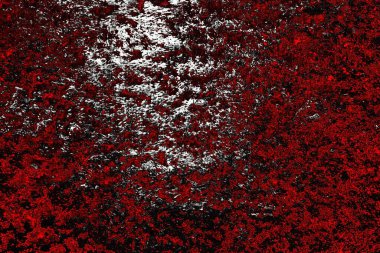  grunge arkaplanı, boşluk duvar kağıdını kopyala, soyut renkli doku arkaplanı