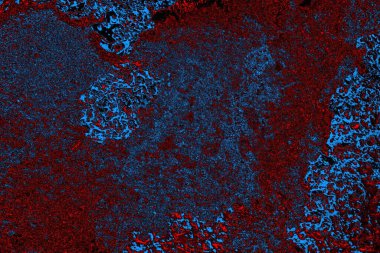 Boşluk duvar kağıdını, grunge arkaplanını, soyut renkli doku arkaplanını kopyala