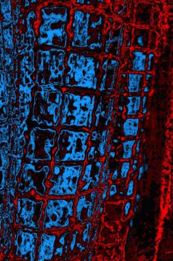 Boşluk duvar kağıdını, grunge arkaplanını, soyut renkli doku arkaplanını kopyala