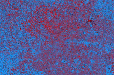 Boşluk duvar kağıdını, grunge arkaplanını, soyut renkli doku arkaplanını kopyala