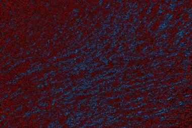 Boşluk duvar kağıdını, grunge arkaplanını, soyut renkli doku arkaplanını kopyala