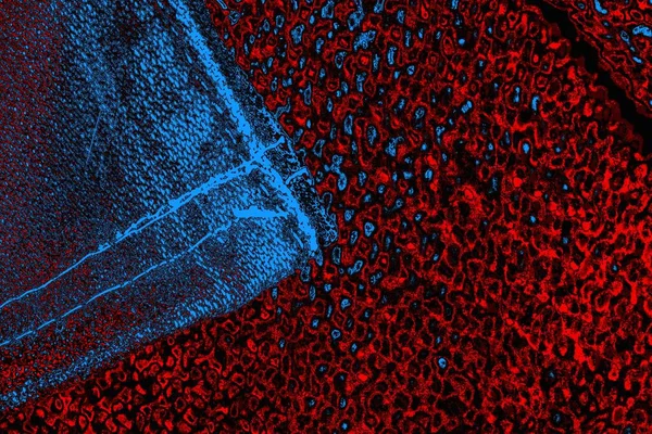 Boşluk duvar kağıdını, grunge arkaplanını, soyut renkli doku arkaplanını kopyala