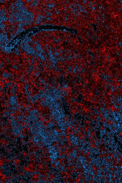 Boşluk duvar kağıdını, grunge arkaplanını, soyut renkli doku arkaplanını kopyala